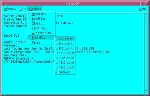 DeskTop Terminal (dtterm)